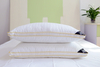 Premium Bamboo Pillow