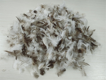 4-6cm Washed Grey Duck Feather