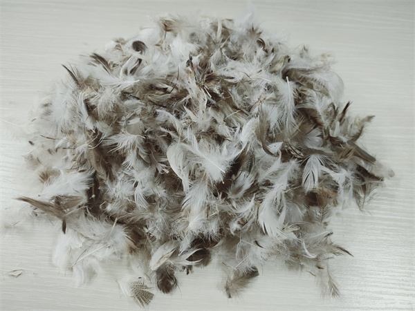 4-6cm Washed Grey Duck Feather