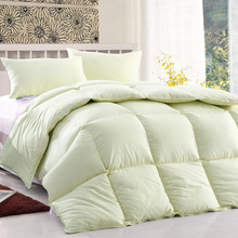 Dyed Polyester Quilt/Duvet/Comforter