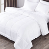 Polyester Quilt/Duvet/Comforter